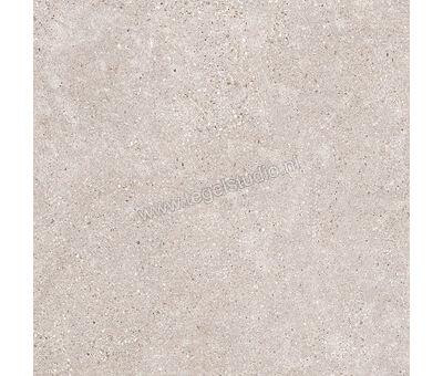 Keraben Underground Taupe 60x60 cm Vloertegel / Wandtegel Mat Vlak Naturale GZW4200A | 1