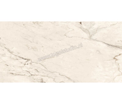 Imola Ceramica The Room cremo delicato CRE DL 60x120 cm Vloertegel / Wandtegel Mat Vlak Naturale CRE DL6 12 RM | 1