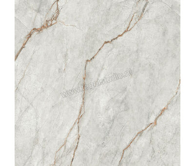 Imola Ceramica The Room grey roots GRE RO 120x120 cm Vloertegel / Wandtegel Mat Vlak Naturale GRE RO6 120 RM | 5