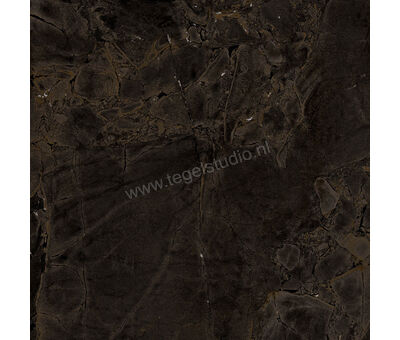 Imola Ceramica The Room infinity brazil INF BR 60x60 cm Vloertegel / Wandtegel Glanzend Vlak Lappato INF BR6 60 LP | 1