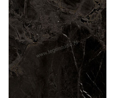 Imola Ceramica The Room infinity brazil INF BR 60x60 cm Vloertegel / Wandtegel Mat Vlak Naturale INF BR6 60 RM | 4