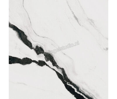 Imola Ceramica The Room panda white PAN WH 120x120 cm Vloertegel / Wandtegel Mat Vlak Naturale PAN WH6 120 RM | 3