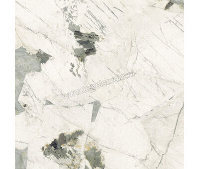 Imola Ceramica The Room quartzite patagonia PAT WH 120x120 cm Vloertegel / Wandtegel Mat Vlak Naturale PAT WH6 120 RM | 4