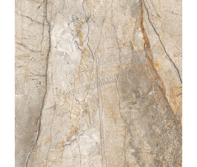 Imola Ceramica The Room san pedro SAN PE 60x60 cm Vloertegel / Wandtegel Glanzend Vlak Lappato SAN PE6 60 LP | 3