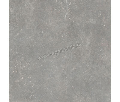 Keraben Bleuemix Grey 90x90 cm Vloertegel / Wandtegel Mat Vlak Soft P0003694 | 1