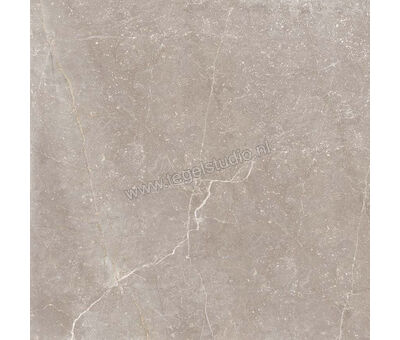 Keraben Bleuemix Taupe 60x60 cm Vloertegel / Wandtegel Mat Vlak Naturale P0004194 | 3