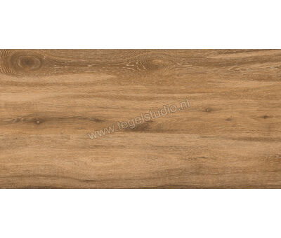Keraben Naturwood Brandy 60x120 cm Vloertegel / Wandtegel antislip Mat Gestructureerd P0003106 | 1