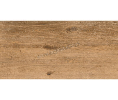 Keraben Naturwood Brandy 60x120 cm Vloertegel / Wandtegel antislip Mat Gestructureerd P0003106 | 3