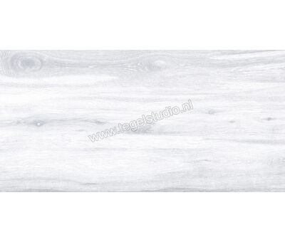Keraben Naturwood Ice 60x120 cm Vloertegel / Wandtegel Mat Gestructureerd P0003100 | 1