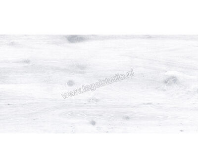 Keraben Naturwood Ice 60x120 cm Vloertegel / Wandtegel Mat Gestructureerd P0003100 | 2
