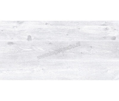 Keraben Naturwood Ice 60x120 cm Vloertegel / Wandtegel Mat Gestructureerd P0003100 | 4