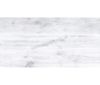 Keraben Naturwood Ice 60x120 cm Vloertegel / Wandtegel Mat Gestructureerd P0003100 | 5