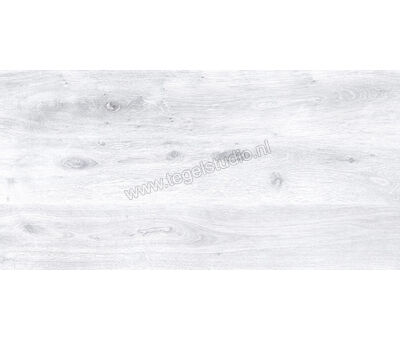 Keraben Naturwood Ice 60x120 cm Vloertegel / Wandtegel Mat Gestructureerd P0003100 | 6