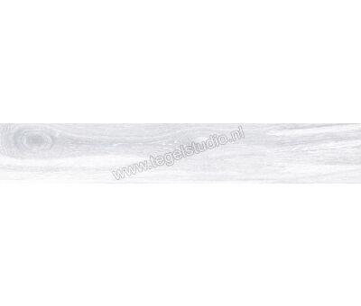 Keraben Naturwood Ice 20x120 cm Vloertegel / Wandtegel antislip Mat Gestructureerd P0002481 | 1