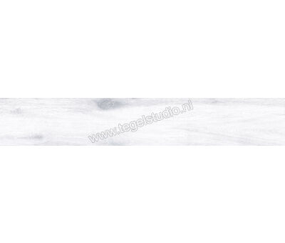 Keraben Naturwood Ice 20x120 cm Vloertegel / Wandtegel antislip Mat Gestructureerd P0002481 | 2
