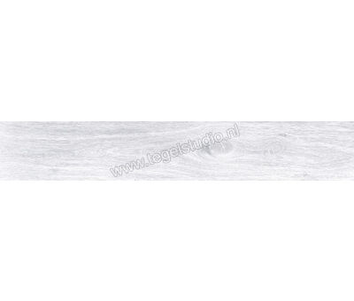 Keraben Naturwood Ice 20x120 cm Vloertegel / Wandtegel antislip Mat Gestructureerd P0002481 | 3