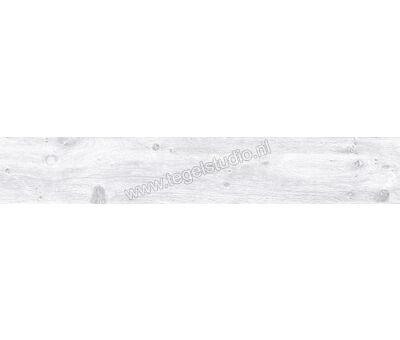 Keraben Naturwood Ice 20x120 cm Vloertegel / Wandtegel antislip Mat Gestructureerd P0002481 | 4