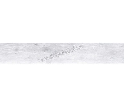 Keraben Naturwood Ice 20x120 cm Vloertegel / Wandtegel antislip Mat Gestructureerd P0002481 | 5