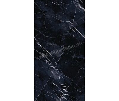 Emilceramica Tele Di Marmo Revolution Calacatta Black 60x120 cm Vloertegel / Wandtegel Glanzend Vlak Lappato EHAA | 1