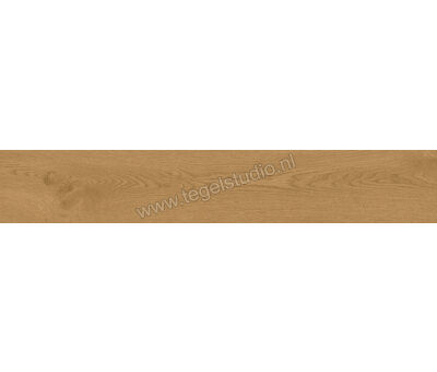 Atlas Concorde Entice Copper 20x120 cm Vloertegel / Wandtegel Mat Vlak A84Y | 3