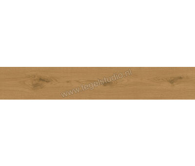 Atlas Concorde Entice Copper 20x120 cm Vloertegel / Wandtegel Mat Vlak A84Y | 4