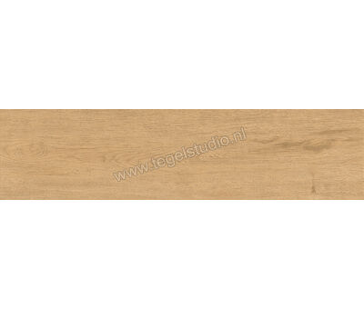 Atlas Concorde Entice Outdoor Pale 30x120x2 cm Terrastegel Mat Vlak Matt A9DD | 5