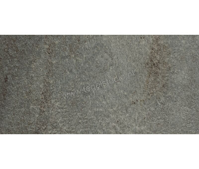 Agrob Buchtal Quarzit Basaltgrau 25x50 cm Vloertegel / Wandtegel Mat Gestructureerd HT 8450-342550HK | 1