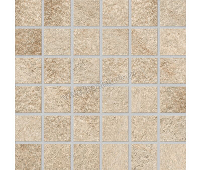 Agrob Buchtal Quarzit Sandbeige 5x5 cm Mozaiek Mat Gestructureerd HT 8462-7161H | 1