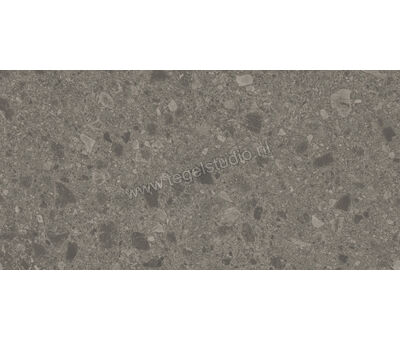 Atlas Concorde Boost Mix Smoke 60x120 cm Vloertegel / Wandtegel Mat Vlak Naturale A80K | 3