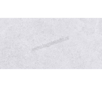 Keraben Verse Grey 30x60 cm Wandtegel Mat Vlak Naturale R0001574 | 3