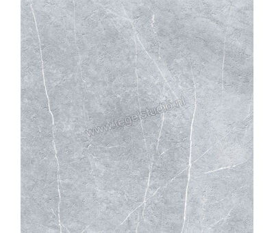 Keraben Inari Gris 90x90 cm Vloertegel / Wandtegel Mat Gestructureerd Soft GVB6N012 | 4