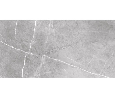Keraben Inari Gris 45x90 cm Vloertegel / Wandtegel Glanzend Gestructureerd Lappato GVB6P002 | 4