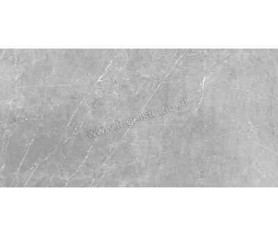 Keraben Inari Gris 45x90 cm Vloertegel / Wandtegel Glanzend Gestructureerd Lappato GVB6P002 | 8