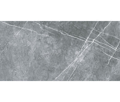 Keraben Inari Marengo 45x90 cm Vloertegel / Wandtegel Glanzend Gestructureerd Lappato GVB6P020 | 1