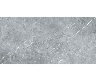 Keraben Inari Marengo 37x75 cm Vloertegel / Wandtegel Glanzend Gestructureerd Lappato GVBAC000 | 6