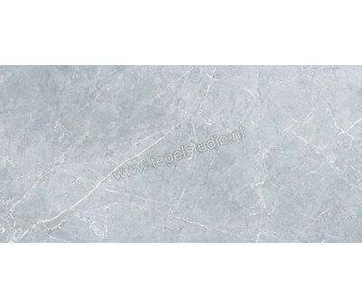 Keraben Inari Gris 37x75 cm Vloertegel / Wandtegel Glanzend Gestructureerd Lappato GVBAC002 | 1