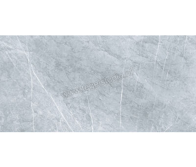 Keraben Inari Gris 37x75 cm Vloertegel / Wandtegel Glanzend Gestructureerd Lappato GVBAC002 | 3