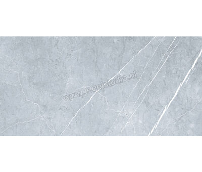 Keraben Inari Gris 37x75 cm Vloertegel / Wandtegel Glanzend Gestructureerd Lappato GVBAC002 | 5