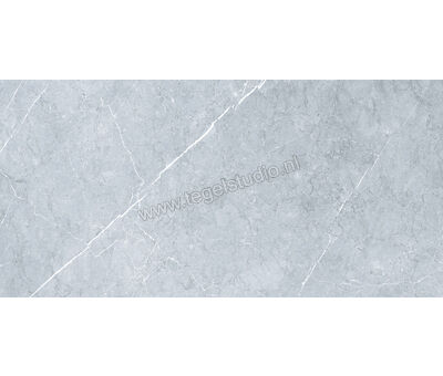 Keraben Inari Gris 37x75 cm Vloertegel / Wandtegel Glanzend Gestructureerd Lappato GVBAC002 | 7
