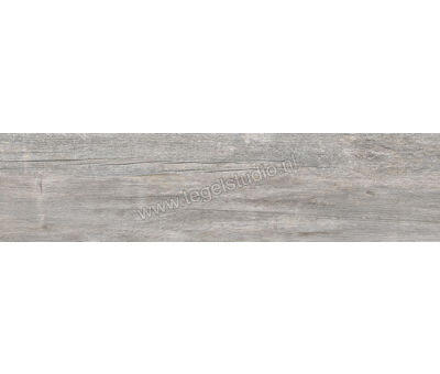 Keraben Lenda Grey 24.8x100 cm Vloertegel / Wandtegel Mat Gestructureerd Naturale GW944020 | 3
