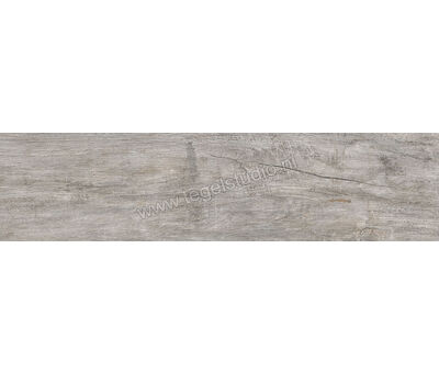 Keraben Lenda Grey 24.8x100 cm Vloertegel / Wandtegel Mat Gestructureerd Naturale GW944020 | 4