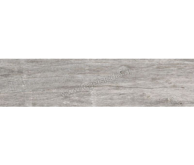 Keraben Lenda Grey 24.8x100 cm Vloertegel / Wandtegel Mat Gestructureerd Naturale GW944020 | 6