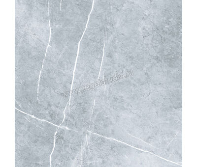 Keraben Inari Gris 75x75 cm Vloertegel / Wandtegel Glanzend Vlak Lappato GVB0R002 | 2
