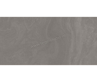Agrob Buchtal Evalia Anthrazit 45x90 cm Vloertegel / Wandtegel Glanzend Vlak 431918 | 1