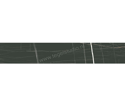 Agrob Buchtal Modern White Schwarz Matt 10x60 cm Decor Mat Vlak HT 283048H | 5