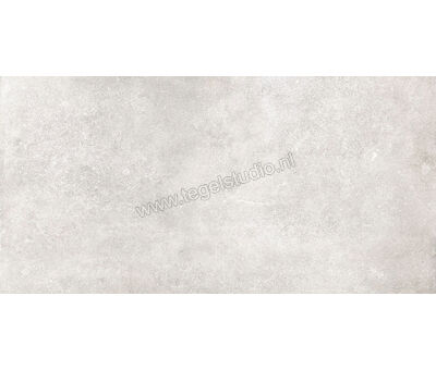 Del Conca Anversa2 grigio chiaro HAV201 60x120x2 cm Terrastegel Mat Gestructureerd SCAV01R | 1