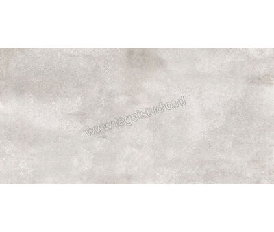 Del Conca Anversa2 grigio chiaro HAV201 60x120x2 cm Terrastegel Mat Gestructureerd SCAV01R | 2