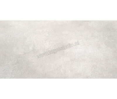 Del Conca Anversa2 grigio chiaro HAV201 60x120x2 cm Terrastegel Mat Gestructureerd SCAV01R | 3