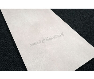 Del Conca Anversa2 grigio chiaro HAV201 60x120x2 cm Terrastegel Mat Gestructureerd SCAV01R | 4