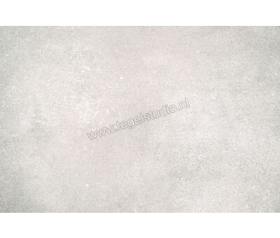 Del Conca Anversa2 grigio chiaro HAV201 60x120x2 cm Terrastegel Mat Gestructureerd SCAV01R | 6